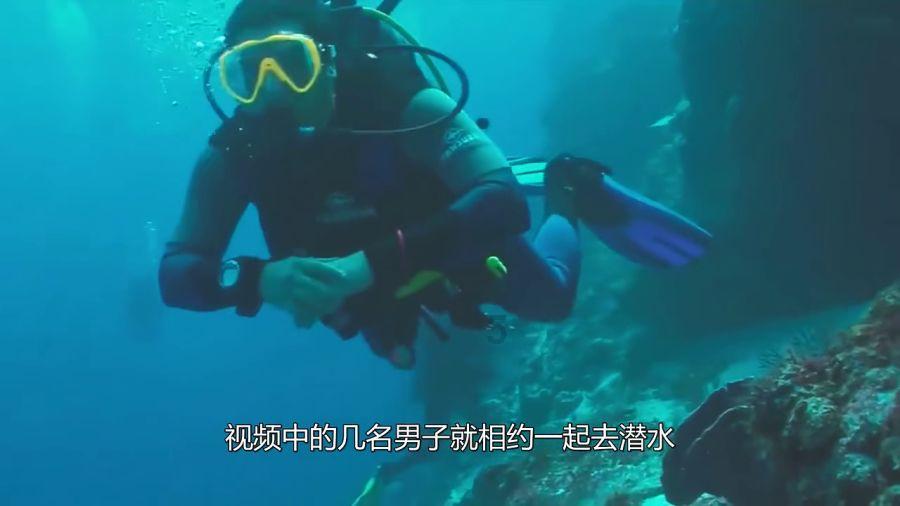 逃离复古经典房屋