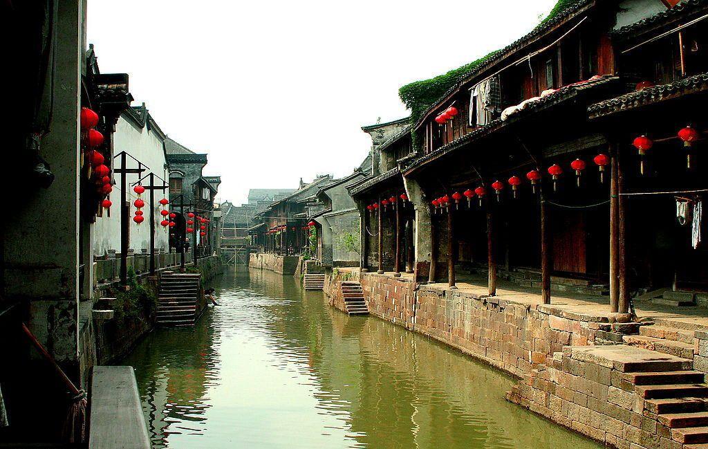 拯救蓝色小鸟